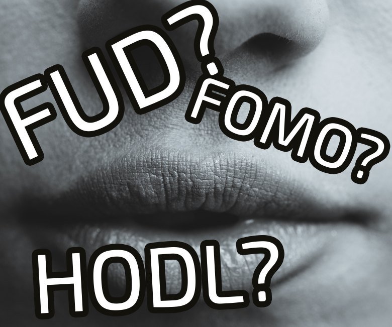 What Is FUD HODL Or FOMO In Cryptocurrency Lingo Find Out More Here 